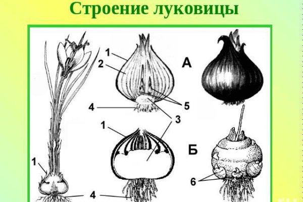 Все доступные по ссылке награды в bs